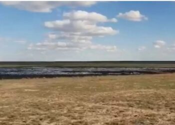 Атырауда мұнайға ұқсас сұйықтық төгілген жер екі жылдан бері тазаланбаған