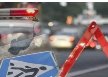 Алматы облысында ағашқа соғылған көлік екіге бөлініп кетті