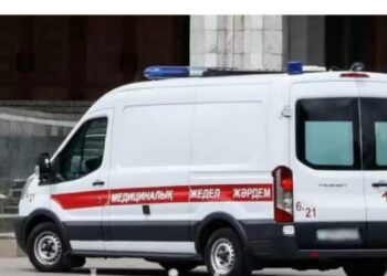 Қарағанды хайуанаттар бағындағы жылқы адамдарды жарақаттады