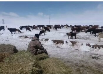 Қырғызстанда қалың қар жауып, аудандардың бірінде төтенше жағдай режимі енгізілді