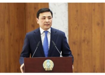 Алтай Көлгінов: Әлеуметтік төлемнің теріс әсері бар