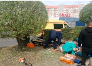 Павлодарда ағаш кесіп жатқан 3 адамды ток соқты, екеуінің жағдайы ауыр