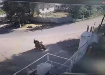 Алматы облысында мопед темір қоршауға соғылып, 6 жасар қыз қаза болды