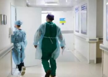 Ақтөбеде 4 жасар баланы түлкі тістеп алды