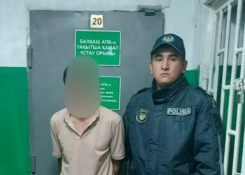 Алматы облысында зорланған егіз қыздың анасы қамауға алынды