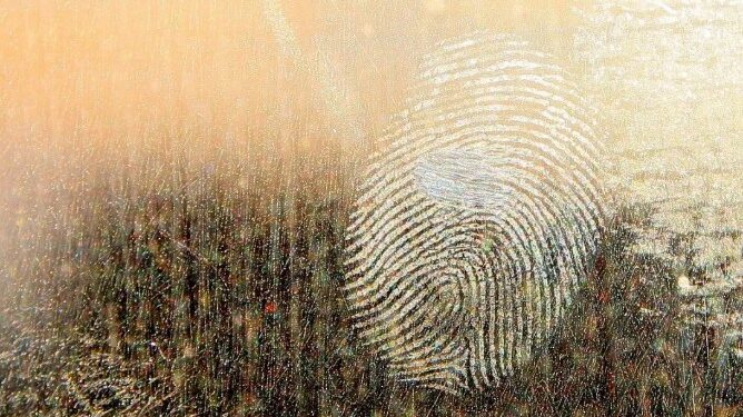 Саусақ ізін тапсыру ерікті болады