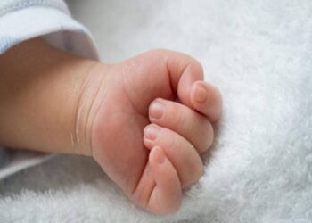Павлодар облысында сәби бас миынсыз дүниеге келген