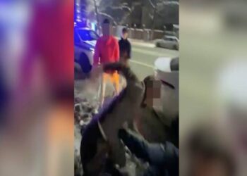 Алматыда полицейге жұдырық ала жүгірген ер адам қамауға алынды (видео)
