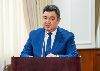 Сенатор шетелге кеткен жетімдерге Қазақстан азаматтығын алуға жәрдемдесуді ұсынды