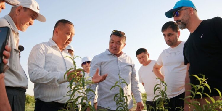 Аймақтарда жаңа жобалар қолға алынды