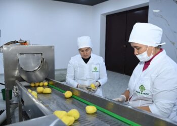 Өткен 11 айда 28 мыңға жуық адам тұрақты жұмыспен қамтылды