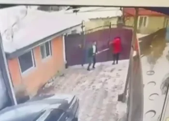 Әйелі мен енесін таяғы сынғанша ұрған: Қаскелеңде ер адамның жауыз әрекеті видеоға түсіп қалды