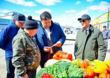 Более 80 нарушений выявлено: в Астане усиливают контроль за ценами на продукты